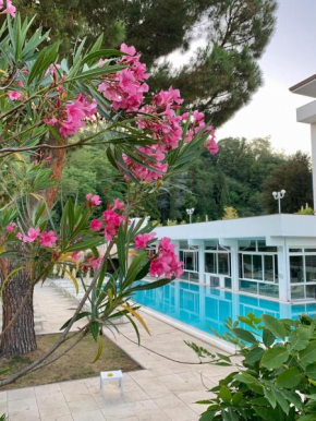 Hotel Terme Millepini Montegrotto Terme